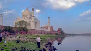 A man feeds birds on the banks of River Yamuna, during a nationwide lockdown to curb the spread of coronavirus, near the historic Taj Mahal in Agra.(PTI) A man feeds birds on the banks of River Yamuna, during a nationwide lockdown to curb the spread of coronavirus, near the historic Taj Mahal in Agra.(PTI)