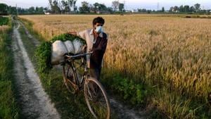 Each day, a limited number of farmers will be sent coupons with holograms and more coupons will only be issued after the produce that is already in the market is lifted.(PTI file photo) Each day, a limited number of farmers will be sent coupons with holograms and more coupons will only be issued after the produce that is already in the market is lifted.(PTI file photo)