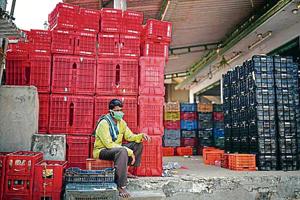 A worker at a wholesale fruit market in Vijayawada on Wednesday.(ANI photo) A worker at a wholesale fruit market in Vijayawada on Wednesday.(ANI photo)