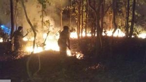 Between 9 and 16 April 2019, Odisha recorded 4429 fire spots while the same for the previous year was 682.(Forest department, Odisha.) Between 9 and 16 April 2019, Odisha recorded 4429 fire spots while the same for the previous year was 682.(Forest department, Odisha.)