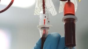 Plasma-derived immunoglobulins are commonly used to prevent serious viral infections(SHUTTERSTOCK) Plasma-derived immunoglobulins are commonly used to prevent serious viral infections(SHUTTERSTOCK)