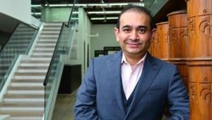 Nirav Modi(Aniruddha Chowdhury/Mint) Nirav Modi(Aniruddha Chowdhury/Mint)