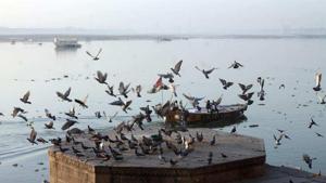 More than 80% of the pollution in the Ganga is contributed by domestic sewage from surrounding towns and villages and the rest by industrial effluents, according to the National Mission for Clean Ganga.(File photo) More than 80% of the pollution in the Ganga is contributed by domestic sewage from surrounding towns and villages and the rest by industrial effluents, according to the National Mission for Clean Ganga.(File photo)