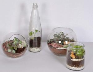Nature has proven to have a relaxing and therapeutic effect on the mind, therefore, having plants indoors or around our home helps us stay calm Nature has proven to have a relaxing and therapeutic effect on the mind, therefore, having plants indoors or around our home helps us stay calm