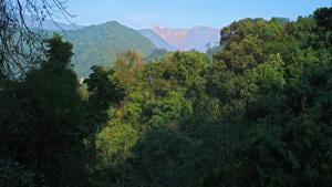 Scientists who have worked in Dibang Valley wrote to the environment ministry on April 22 after they came across the FAC’s sub-committee report on the Parivesh website.(RAMKI SREENIVASAN/HT PHOTO.) Scientists who have worked in Dibang Valley wrote to the environment ministry on April 22 after they came across the FAC’s sub-committee report on the Parivesh website.(RAMKI SREENIVASAN/HT PHOTO.)