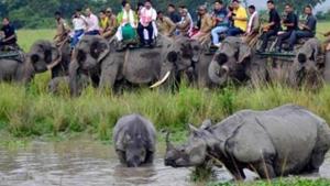Kaziranga gets flooded every year forcing the animals in the national park to move towards hills in Karbi Anglong district.(PTI Photo) Kaziranga gets flooded every year forcing the animals in the national park to move towards hills in Karbi Anglong district.(PTI Photo)