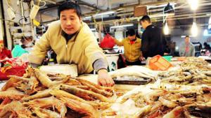 Seafood markets (in China) have more than just seafood. They have wild animals such as primates, crocodiles, wolf pups, civets, snakes, turtles, bamboo rats, porcupines, live fish and mongoose, packed together in cages.(Sourced. Representative image) Seafood markets (in China) have more than just seafood. They have wild animals such as primates, crocodiles, wolf pups, civets, snakes, turtles, bamboo rats, porcupines, live fish and mongoose, packed together in cages.(Sourced. Representative image)