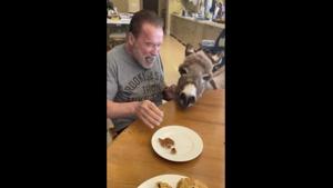 The image shows Arnold Schwarzenegger with his pet donkey Lulu.(Twitter/@Schwarzenegger) The image shows Arnold Schwarzenegger with his pet donkey Lulu.(Twitter/@Schwarzenegger)