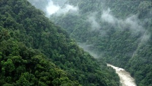 FAC has considered granting forest clearance to the Etalin hydropower project at a meeting last Thursday; the minutes of the meeting are yet to be released.(Chintan Sheth) FAC has considered granting forest clearance to the Etalin hydropower project at a meeting last Thursday; the minutes of the meeting are yet to be released.(Chintan Sheth)