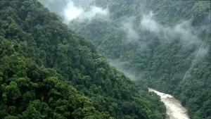 The National Board for Wildlife met once on April 7 but considered as many as 34 infrastructure, mining and commercial projects linked or inside wildlife sanctuaries and reserves.(Photo Courtesy: Chintan Sheth) The National Board for Wildlife met once on April 7 but considered as many as 34 infrastructure, mining and commercial projects linked or inside wildlife sanctuaries and reserves.(Photo Courtesy: Chintan Sheth)
