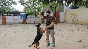 The force’s unit in Shastri Park, which looks after the security of the Metro has a total of 62 dogs. The force’s unit in Shastri Park, which looks after the security of the Metro has a total of 62 dogs.
