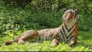 Twitter user Martha shared the strange incident about the tiger sculpture made by her grandmother.(Twitter/@marthasimpson__) Twitter user Martha shared the strange incident about the tiger sculpture made by her grandmother.(Twitter/@marthasimpson__)