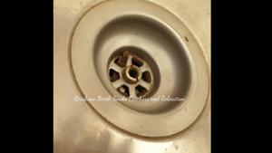 The snake had slithered into the drain pipe attached to the sink.(Facebook/Brisbane North Snake Catchers and Relocation) The snake had slithered into the drain pipe attached to the sink.(Facebook/Brisbane North Snake Catchers and Relocation)