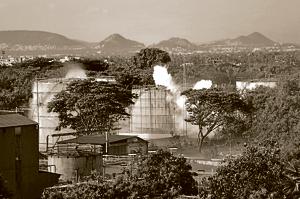 The Vizag gas leak has shown why it is important to prevent environmental damage before it happens(PTI) The Vizag gas leak has shown why it is important to prevent environmental damage before it happens(PTI)
