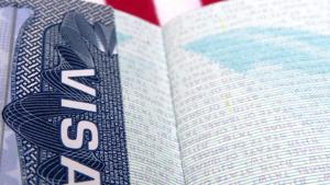 Senators Ted Cruz, Tom Cotton, Chuck Grassley and Josh Hawley have urged US President Trump to call for suspension of all non-immigrant guest worker visas for the next 60 days, followed by a continued suspension of certain categories of new non-immigrant guest worker visas for a year.(HT Archive)
