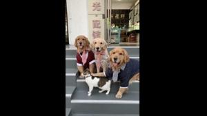 What an adorable photo! Watch the video below to see it came about.(Twitter/@Thund3rB0lt) What an adorable photo! Watch the video below to see it came about.(Twitter/@Thund3rB0lt)