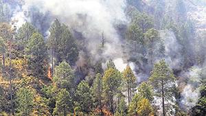 Uttarakhand forest department has around 174 watchtowers and 1,437 station crews across the state to keep a tab on the forest fires.(Representative Photo/HT) Uttarakhand forest department has around 174 watchtowers and 1,437 station crews across the state to keep a tab on the forest fires.(Representative Photo/HT)