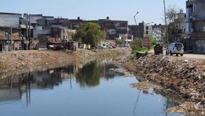 There are around 1,100 dairy units in Haibowal and Tajpur Road complexes and surrounding areas in Ludhiana, which dump waste into the Buddha Nullah, a seasonal stream running through the Malwa region of Punjab.(HT FILE) There are around 1,100 dairy units in Haibowal and Tajpur Road complexes and surrounding areas in Ludhiana, which dump waste into the Buddha Nullah, a seasonal stream running through the Malwa region of Punjab.(HT FILE)