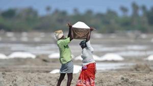 Labourers work at a salt pan, during a government-imposed nationwide lockdown as a preventive measure against the coronavirus, at Marakkanam in Viluppuram district.(PTI) Labourers work at a salt pan, during a government-imposed nationwide lockdown as a preventive measure against the coronavirus, at Marakkanam in Viluppuram district.(PTI)