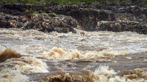 The minister said he had ordered for the installation of CCTVs along the routes leading to the river and asked police to take action if trucks are found overloaded.(PTI) The minister said he had ordered for the installation of CCTVs along the routes leading to the river and asked police to take action if trucks are found overloaded.(PTI)