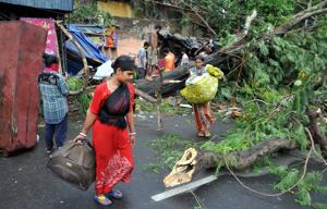 With roads blocked by fallen trees, hardly any traffic was seen and shops and markets, too, remained closed on Thursday in the aftermath of the storm.(PTI) With roads blocked by fallen trees, hardly any traffic was seen and shops and markets, too, remained closed on Thursday in the aftermath of the storm.(PTI)