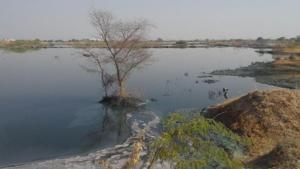 The Jojari River has become a dumping ground for all kinds of waste water.(HT Photo) The Jojari River has become a dumping ground for all kinds of waste water.(HT Photo)