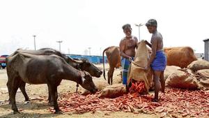 Labourers dump vegetables that couldn’t be sold for want of buyers at Thirumazhisai vegetables market in Chennai on Monday.(ANI) Labourers dump vegetables that couldn’t be sold for want of buyers at Thirumazhisai vegetables market in Chennai on Monday.(ANI)