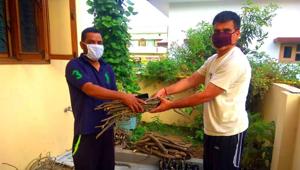 Giloy saplings being distributed by RSS workers in Dehradun.(HT Photo) Giloy saplings being distributed by RSS workers in Dehradun.(HT Photo)