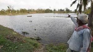 A man points towards a pond filled with saline water that has killed fresh water fish and was brought upstream due to Cyclone Amphan, at Kakdwip in the Sunderbans, South 24 Parganas district, West Bengal, India on Frisday, May 22, 2020.(Samir Jana / Hindustan Times) A man points towards a pond filled with saline water that has killed fresh water fish and was brought upstream due to Cyclone Amphan, at Kakdwip in the Sunderbans, South 24 Parganas district, West Bengal, India on Frisday, May 22, 2020.(Samir Jana / Hindustan Times)