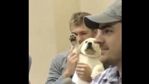 The hooman raises the canine’s paw so it can easily wave at its colleagues.(Reddit) The hooman raises the canine’s paw so it can easily wave at its colleagues.(Reddit)