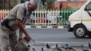 ASI Ratan Singh feeding birds in Delhi(Twitter) ASI Ratan Singh feeding birds in Delhi(Twitter)