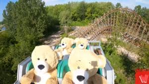 The bears were riding on a roller coaster called UNTAMED.(YouTube/Walibi Holland)