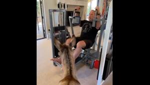 In the clip, Arnold Schwarzenegger is seen headed for a home workout session, followed by his pet donkey Lulu.(Instagram/@schwarzenegger) In the clip, Arnold Schwarzenegger is seen headed for a home workout session, followed by his pet donkey Lulu.(Instagram/@schwarzenegger)