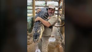 These posts about Darth Gator the alligator make for some seriously interesting viewing.(TikTok/@jayprehistoricpets) These posts about Darth Gator the alligator make for some seriously interesting viewing.(TikTok/@jayprehistoricpets)