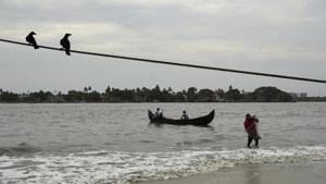 A fisherman brings in his catch from the Arabian Sea during the Coronavirus pandemic in Kochi, Kerala state.(AP) A fisherman brings in his catch from the Arabian Sea during the Coronavirus pandemic in Kochi, Kerala state.(AP)