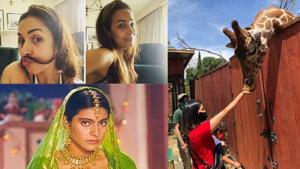Here’s how Malaika Arora, Sunny Leone and Kajol are spending their time amid coronavirus pandemic. Here’s how Malaika Arora, Sunny Leone and Kajol are spending their time amid coronavirus pandemic.