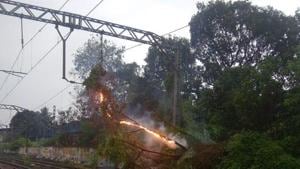 A tree fell on the power lines over the rail tracks between Kurla and Vidyavihar railway station.(HT Photo) A tree fell on the power lines over the rail tracks between Kurla and Vidyavihar railway station.(HT Photo)