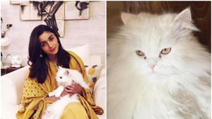 Bollywood is cat crazy and unapologetic about it. Mention Alia Bhatt’s pet Edward and she can go on and on about all the amazing vibes a furry friend can bring into one’s life. Featured here are Alia and her pet Eddie. Bollywood is cat crazy and unapologetic about it. Mention Alia Bhatt’s pet Edward and she can go on and on about all the amazing vibes a furry friend can bring into one’s life. Featured here are Alia and her pet Eddie.