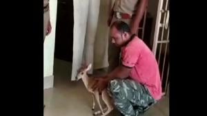The farmer with the barking deer in Odisha.(Twitter/@ANI) The farmer with the barking deer in Odisha.(Twitter/@ANI)