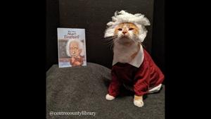 Lisa Shaffer designed costumes and set up photoshoots for her cats and began posting every Saturday, or “Caturday”.(@CentreCountyLibrary/Instagram) Lisa Shaffer designed costumes and set up photoshoots for her cats and began posting every Saturday, or “Caturday”.(@CentreCountyLibrary/Instagram)