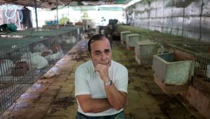 Rabbit raiser Nelson Aguilar pauses during an interview at the rooftop of his home amid concerns about the spread of the coronavirus disease (COVID-19), in Havana, Cuba, May 26, 2020. Picture taken May 26, 2020. REUTERS/Alexandre Meneghini(REUTERS) Rabbit raiser Nelson Aguilar pauses during an interview at the rooftop of his home amid concerns about the spread of the coronavirus disease (COVID-19), in Havana, Cuba, May 26, 2020. Picture taken May 26, 2020. REUTERS/Alexandre Meneghini(REUTERS)