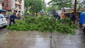 According to officials, 85 large trees, some of which fell over houses, and 11 electric poles were ripped out as the National Disaster Response Force (NDRF) said its team will assess the damage once cyclonic storm completes landfall.(PTI photo) According to officials, 85 large trees, some of which fell over houses, and 11 electric poles were ripped out as the National Disaster Response Force (NDRF) said its team will assess the damage once cyclonic storm completes landfall.(PTI photo)