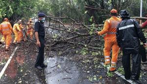 NDRF personnel clearing fallen trees from a road in Alibag town of Raigad district following cyclone Nisarga landfall in India's western coast.(AFP photo) NDRF personnel clearing fallen trees from a road in Alibag town of Raigad district following cyclone Nisarga landfall in India's western coast.(AFP photo)