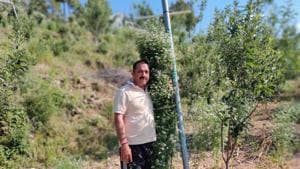 Organic farmer Gopal Dutt Upreti with his seven feet tall coriander plant in Uttarakhand’s Almora district.(Gopal Dutt Upreti) Organic farmer Gopal Dutt Upreti with his seven feet tall coriander plant in Uttarakhand’s Almora district.(Gopal Dutt Upreti)