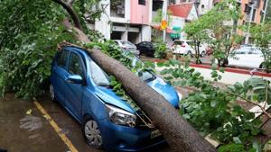 The Kalyan Dombivli Municipal Corporation (KDMC) fire department managed to clear 77 out of 112 uprooted trees.(PTI Photo. Representative image) The Kalyan Dombivli Municipal Corporation (KDMC) fire department managed to clear 77 out of 112 uprooted trees.(PTI Photo. Representative image)
