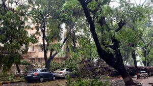 Though the cyclone completed landfall between 12.30 and 2.30 pm, its intensity lasted for another hour afterwards. (Photo by Bhushan Koyande/ HT) Though the cyclone completed landfall between 12.30 and 2.30 pm, its intensity lasted for another hour afterwards. (Photo by Bhushan Koyande/ HT)