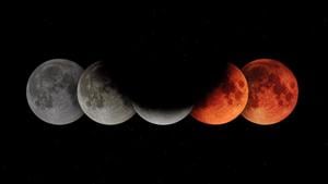 Marking the start of the wild strawberry season, Asia, Europe, Africa, Australia, and South America will be playing host to the second penumbral lunar eclipse of 2020. (Representational Image)(Unsplash) Marking the start of the wild strawberry season, Asia, Europe, Africa, Australia, and South America will be playing host to the second penumbral lunar eclipse of 2020. (Representational Image)(Unsplash)