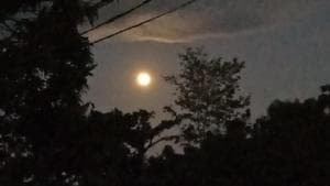 Lunar Eclipse 2020: Twitter is flooded with various images of the Strawberry Moon.(Twitter/@itslorrieIsles) Lunar Eclipse 2020: Twitter is flooded with various images of the Strawberry Moon.(Twitter/@itslorrieIsles)
