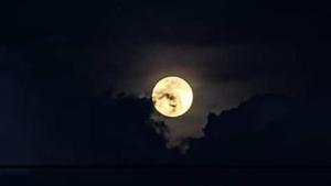The image shows strawberry moon of June 2020.(Twitter/@demoanss) The image shows strawberry moon of June 2020.(Twitter/@demoanss)