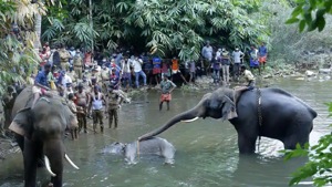 Union environment minister Prakash Javedkar has announced another probe by the Wildlife Crime Control Bureau, which has also begun its investigation.(AP Photo) Union environment minister Prakash Javedkar has announced another probe by the Wildlife Crime Control Bureau, which has also begun its investigation.(AP Photo)